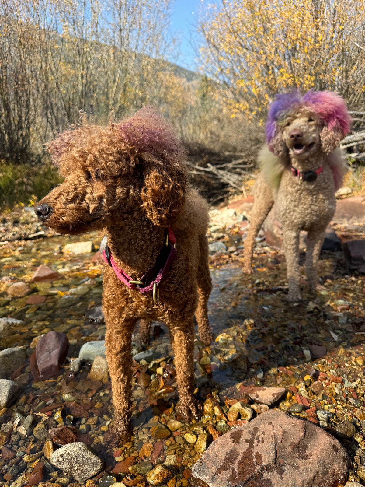 What are the best hikes near downtown Aspen, CO?