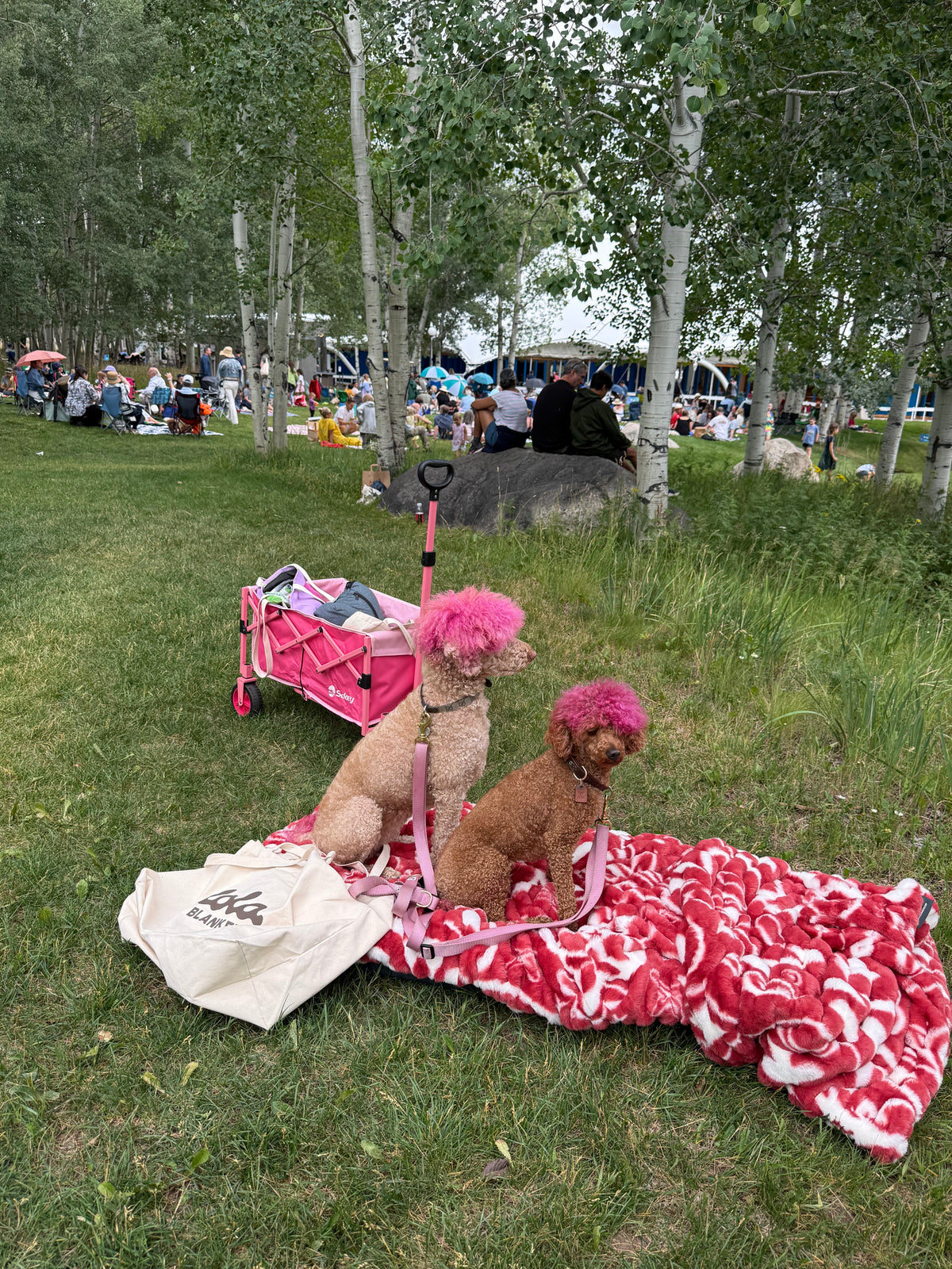 Are there free concerts in Aspen, CO?