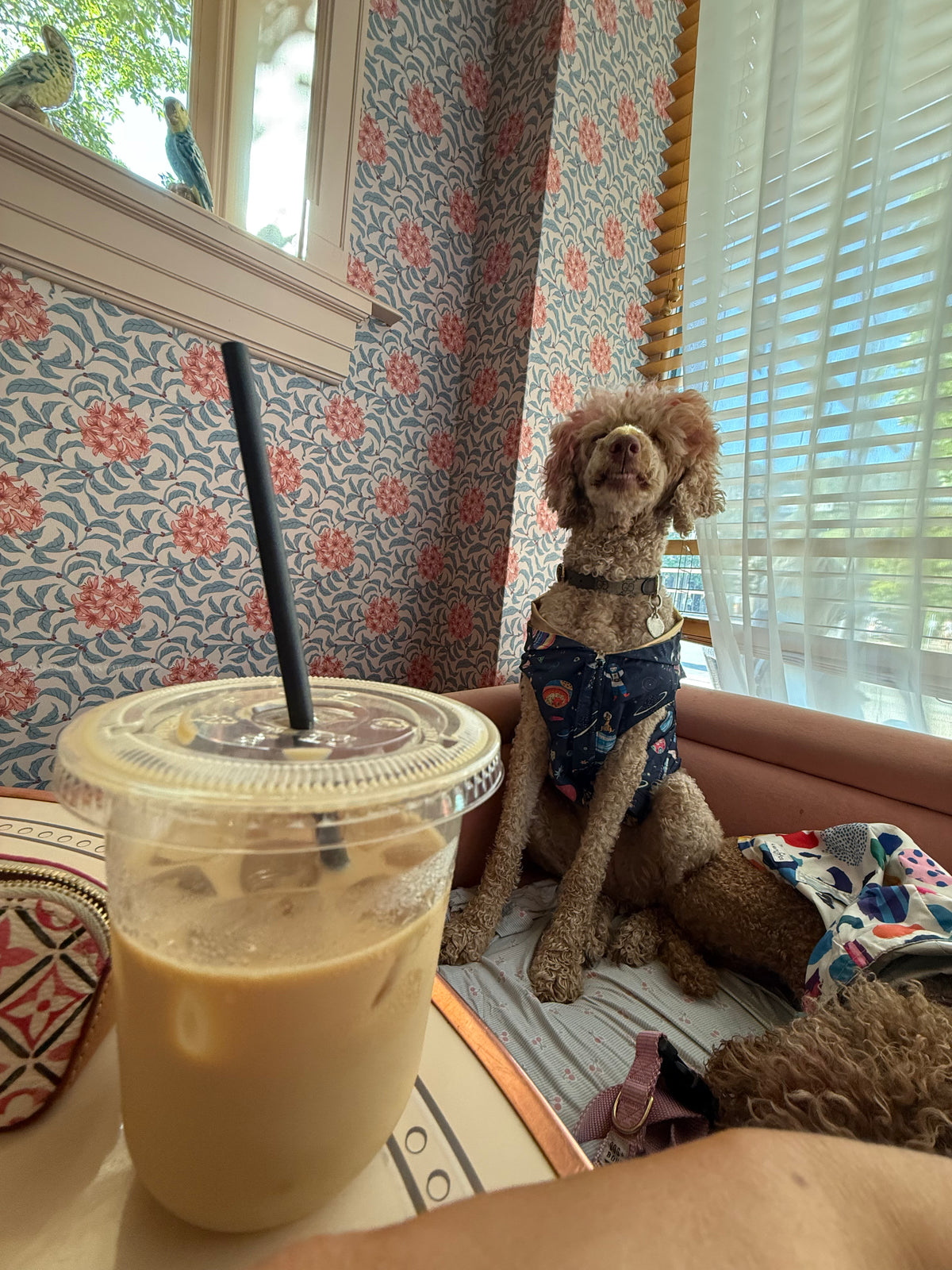 Where's the best coffee in Aspen, CO?