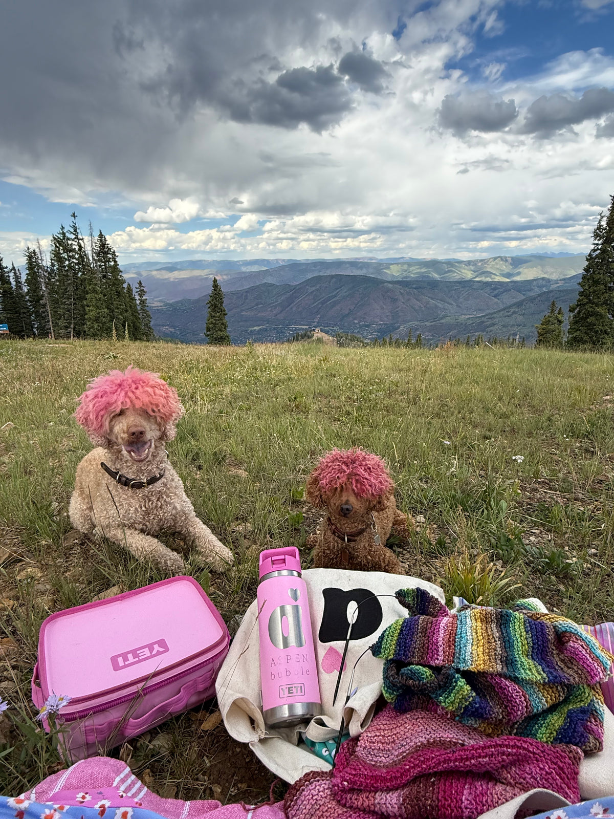 What do you need to know before riding the Silver Queen Gondola in Aspen?
